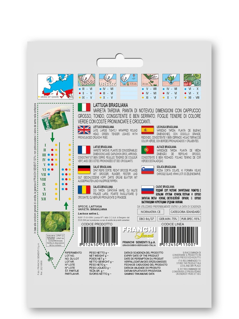 Salade laitue 'Brasiliana'
