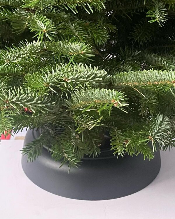 Pied de sapin en plastique