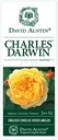 Rosa 'Charles Darwin' Etiquette