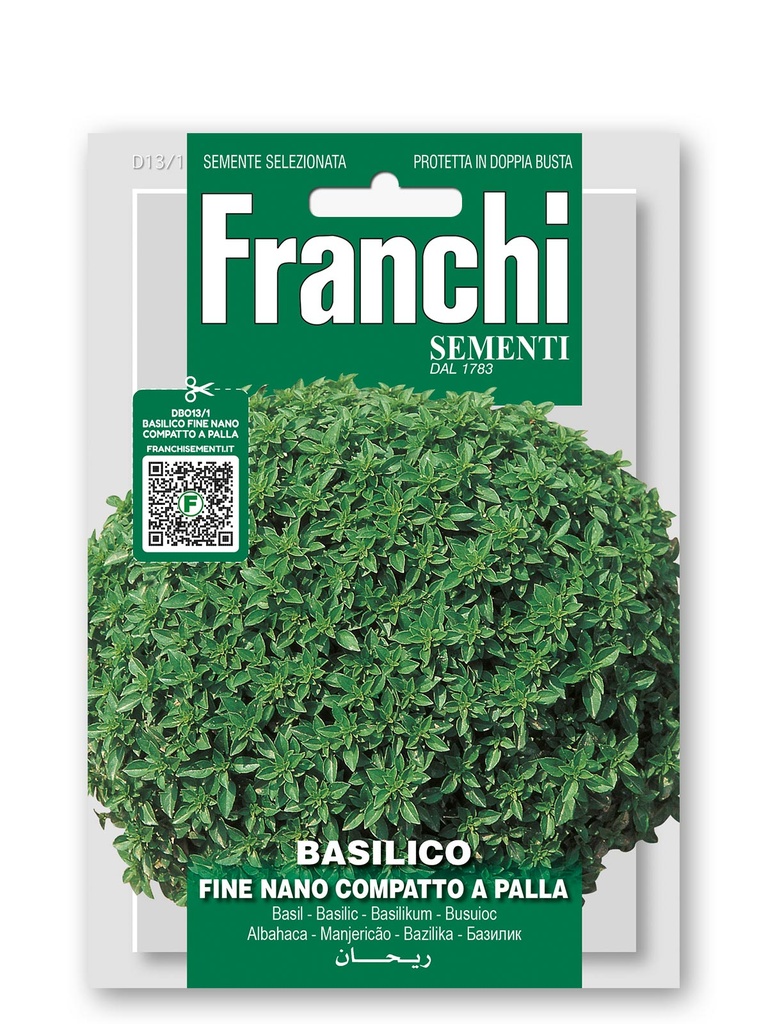 Basilic 'Fine Verde'