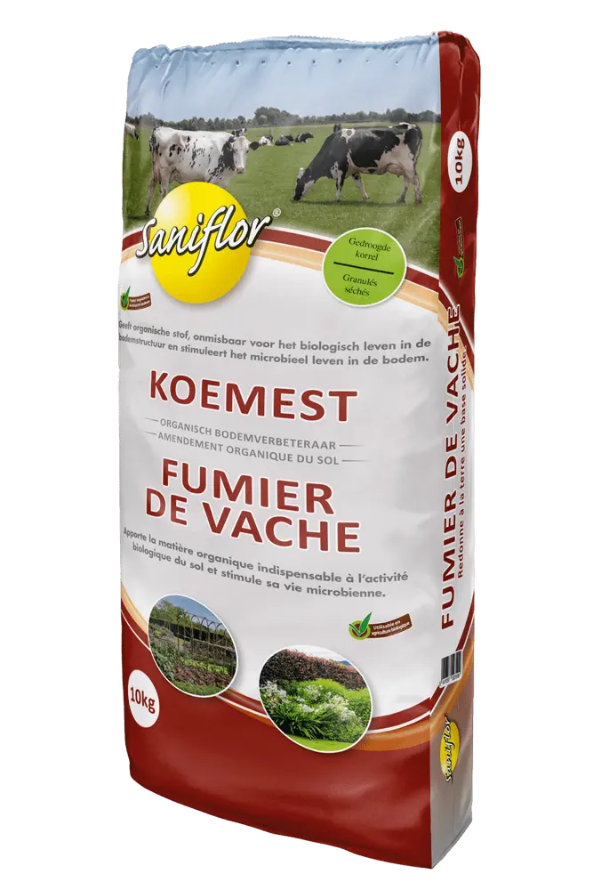 Fumier de vache