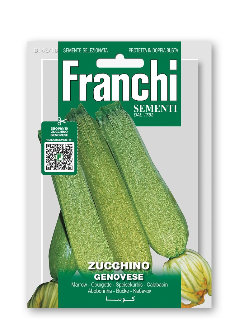 Courgette 'Genovese'