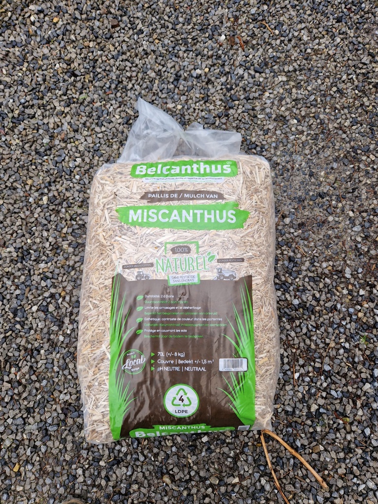 Paillis de miscanthus