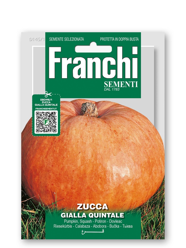 Potiron 'Gialla Quintale'