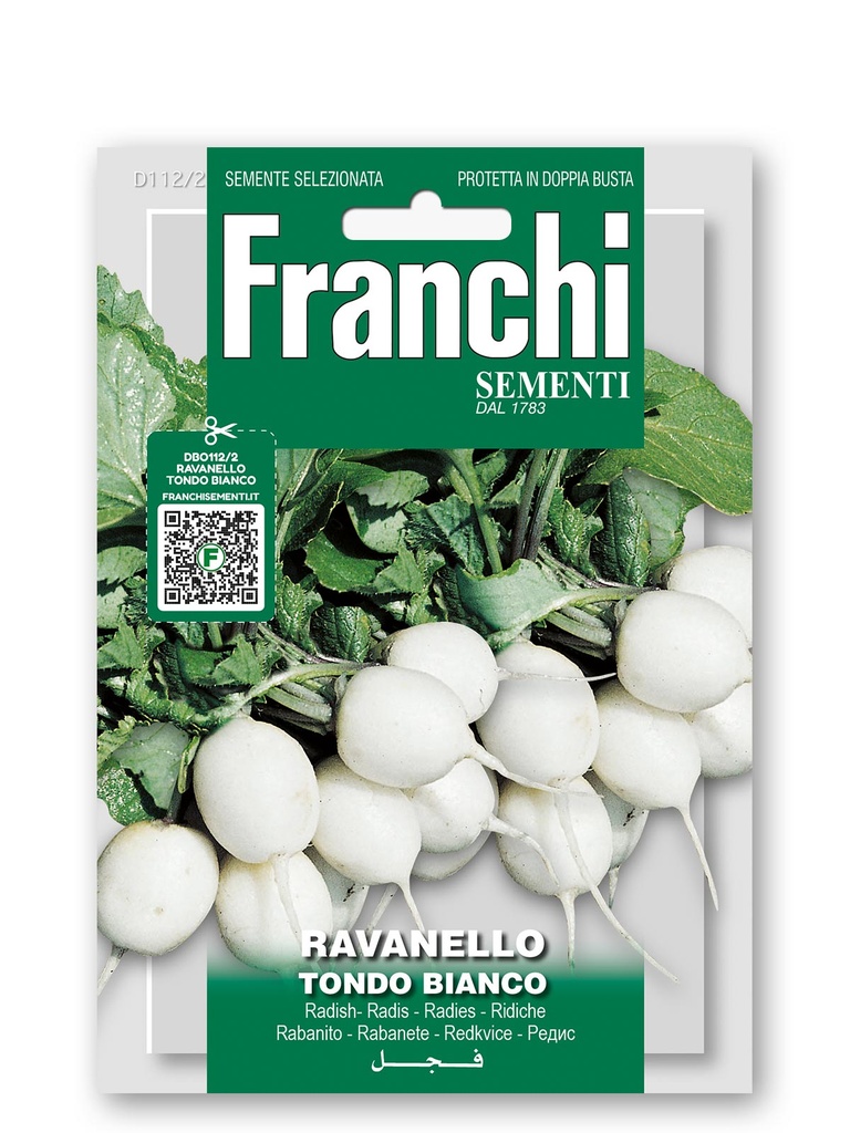 Radis 'Tondo Bianco'
