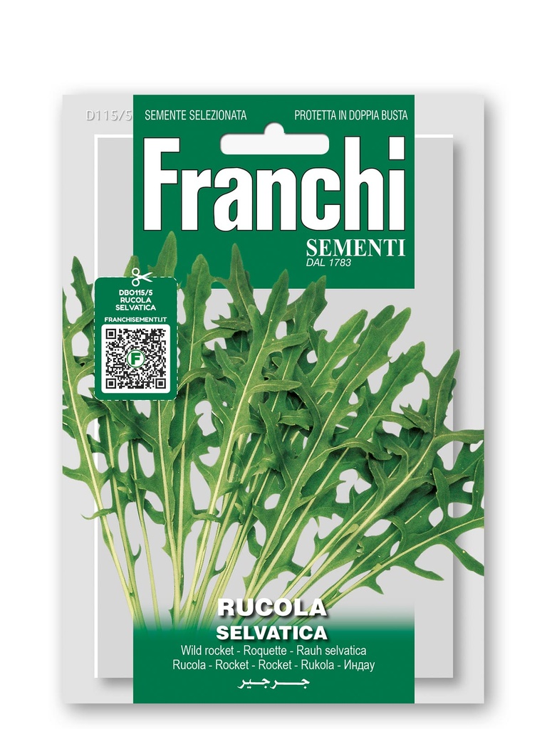 Roquette sauvage