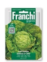 Salade laitue 'Goccia d'Oro'