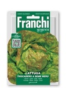 Salade laitue 'Trocadero'