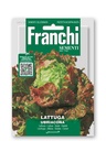 Salade laitue 'Ubriacona'