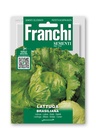 Salade laitue 'Brasiliana'