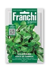Salade mâche 'Verte de Cambrai'