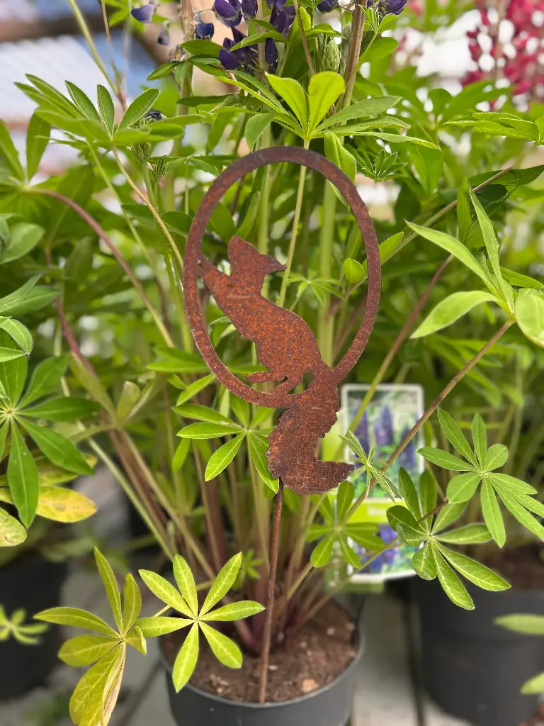 [71700EOB1S] Ecureuil cour.ov. H20xB11cm +tige