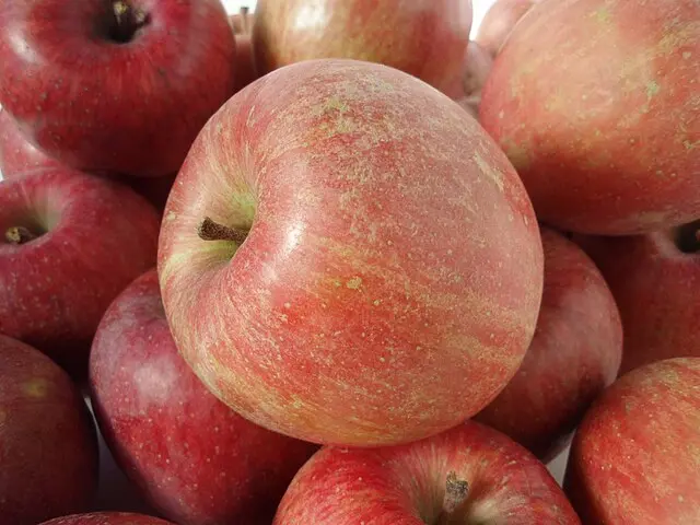 Malus domestica 'Fuji' (buisson racines nues)