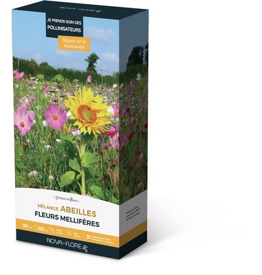 Pré fleuri (Fleurs mellifères pour nos insectes butineurs)