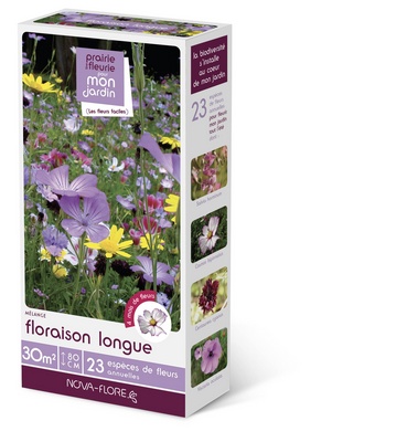 Pré fleuri (Floraison longue)