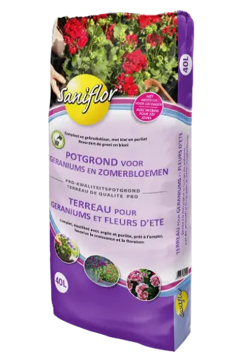 Terreau pour géraniums et fleurs d'été